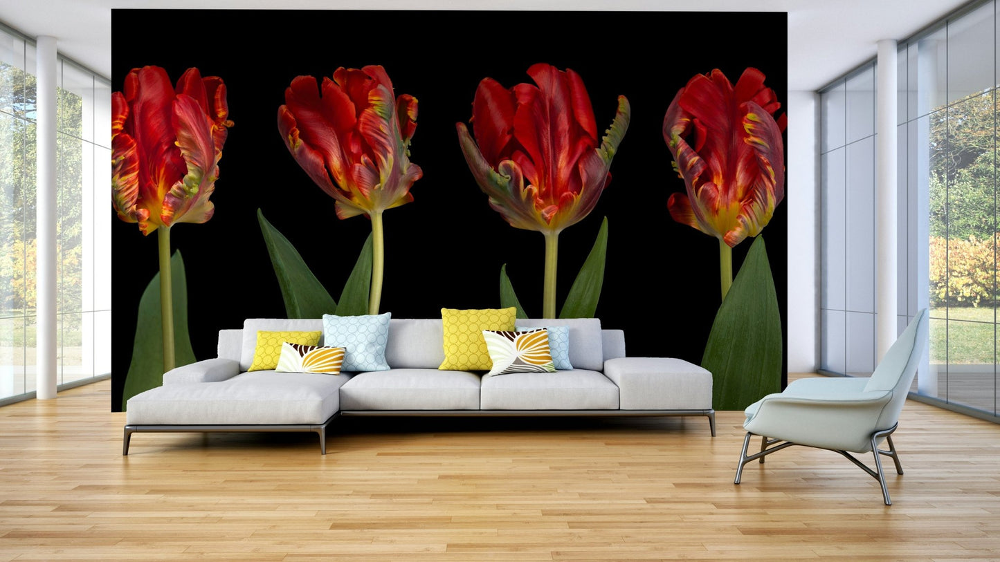 The mood is elegant and artistic.

