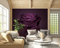 Interior design mockup of a studio apartment with a royal inspired feature wall.