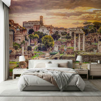 Ruins of the Roman Forum Wall Mural