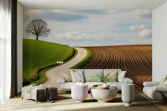 A beautiful rural landscape with a curved path.