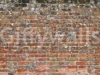 A high-quality realistic stone wall mural for walls.

