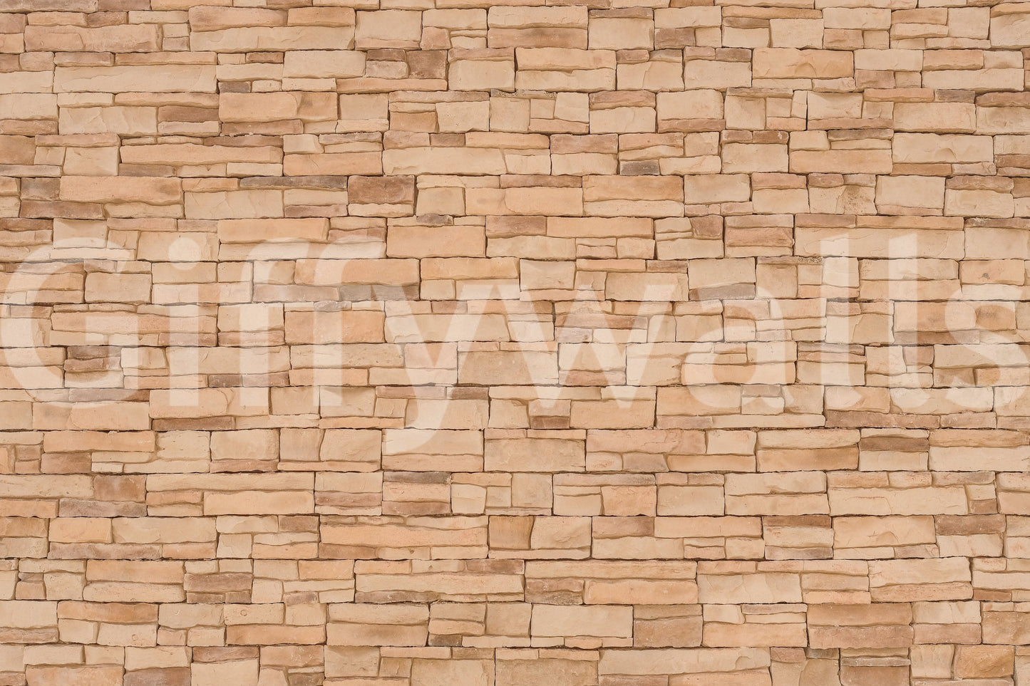 Rustic Stone Appeal Wall Mural -2308543
