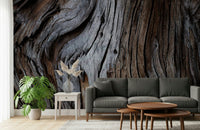 Wall mural showcasing distressed wooden planks with natural grain and subtle imperfections for farmhouse décor.