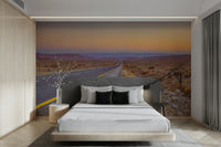 Open road and desert view mural
