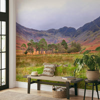 A seamless pattern for a living room or bedroom.

