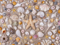 Evokes a feeling of wonder and serene delight.