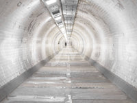 Secret Passages Wall Mural