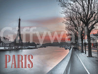Seine and Eiffel Tower Silhouette Wall Mural
