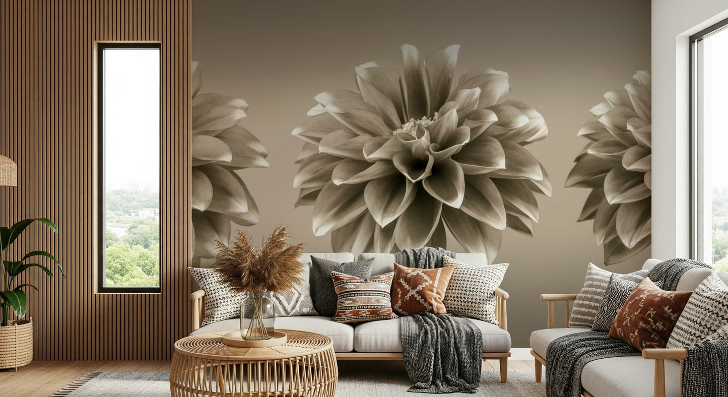 Vintage monochrome dahlia wall mural, Sepia Dahlia Trio design.