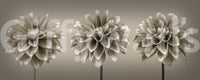 Timeless floral wall mural with three stems