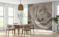 Vintage botanical wall mural featuring a dewy rose rendered in soft monochrome sepia.