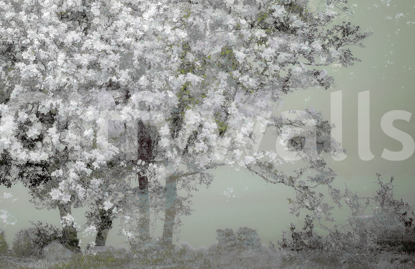 Floral Canopy Serenity Wall Mural -1518414