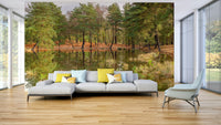 The mural shows a peaceful forest scene.

