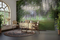 A wall mural depicting a serene natural scene
