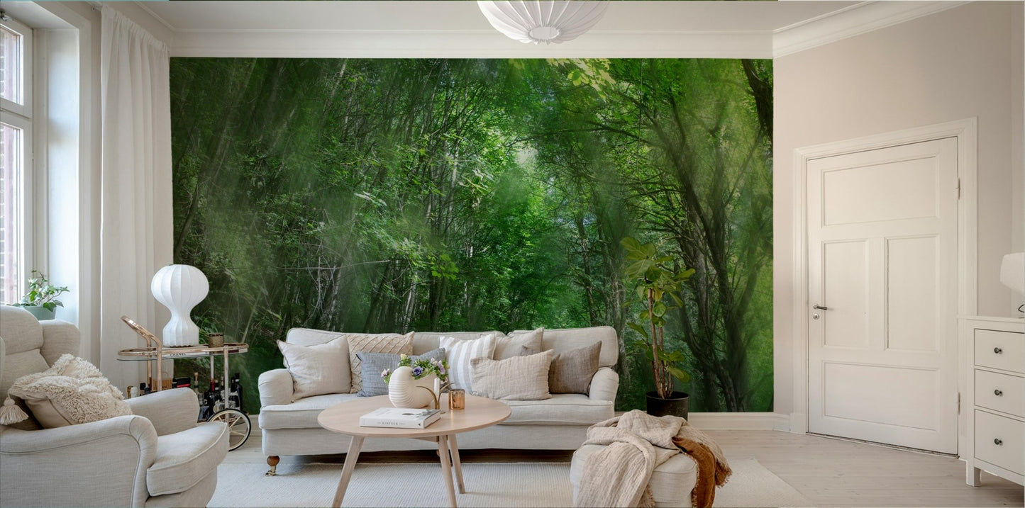 Serene Forest Pathway Art Print | Tranquil Nature Photography | Green Landscape Decor Wall Mural