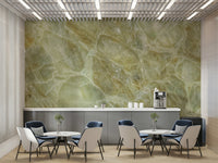 serene marble veins wall mural

