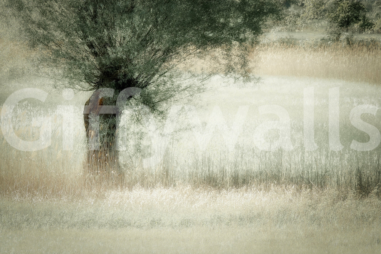 A high-quality minimalist wall mural for walls.