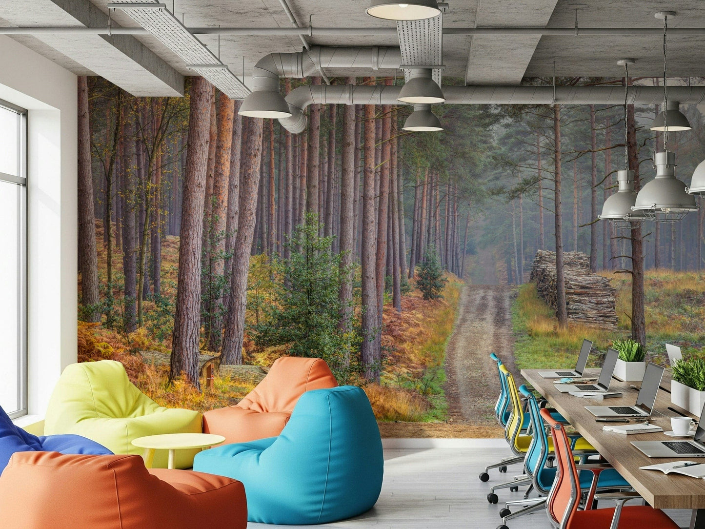Serene Road Through Autumn Splendor Wall Mural