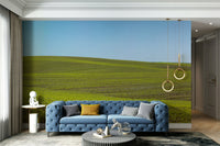 Peaceful green field wall mural

