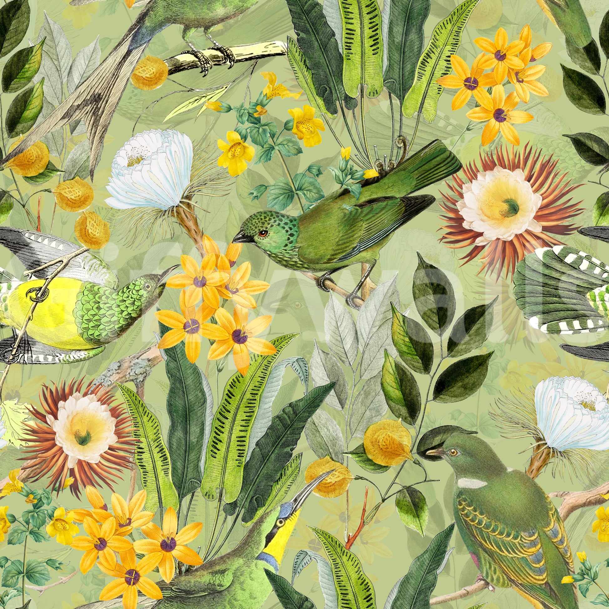 Serene tropical bird wallpaper for relaxing home interiors

