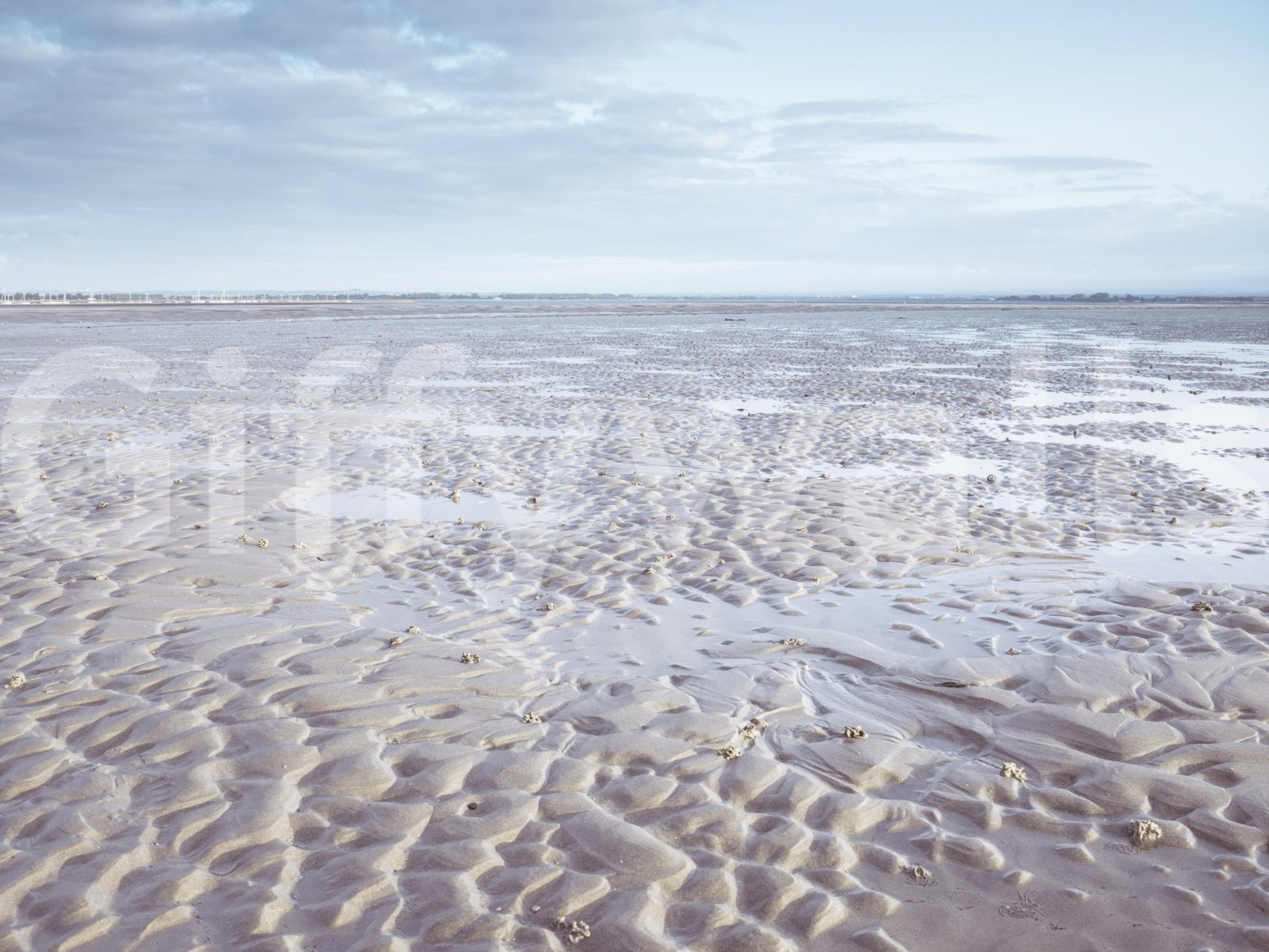 Shoreline Serenity Wall Mural