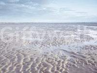 Shoreline Serenity Wall Mural
