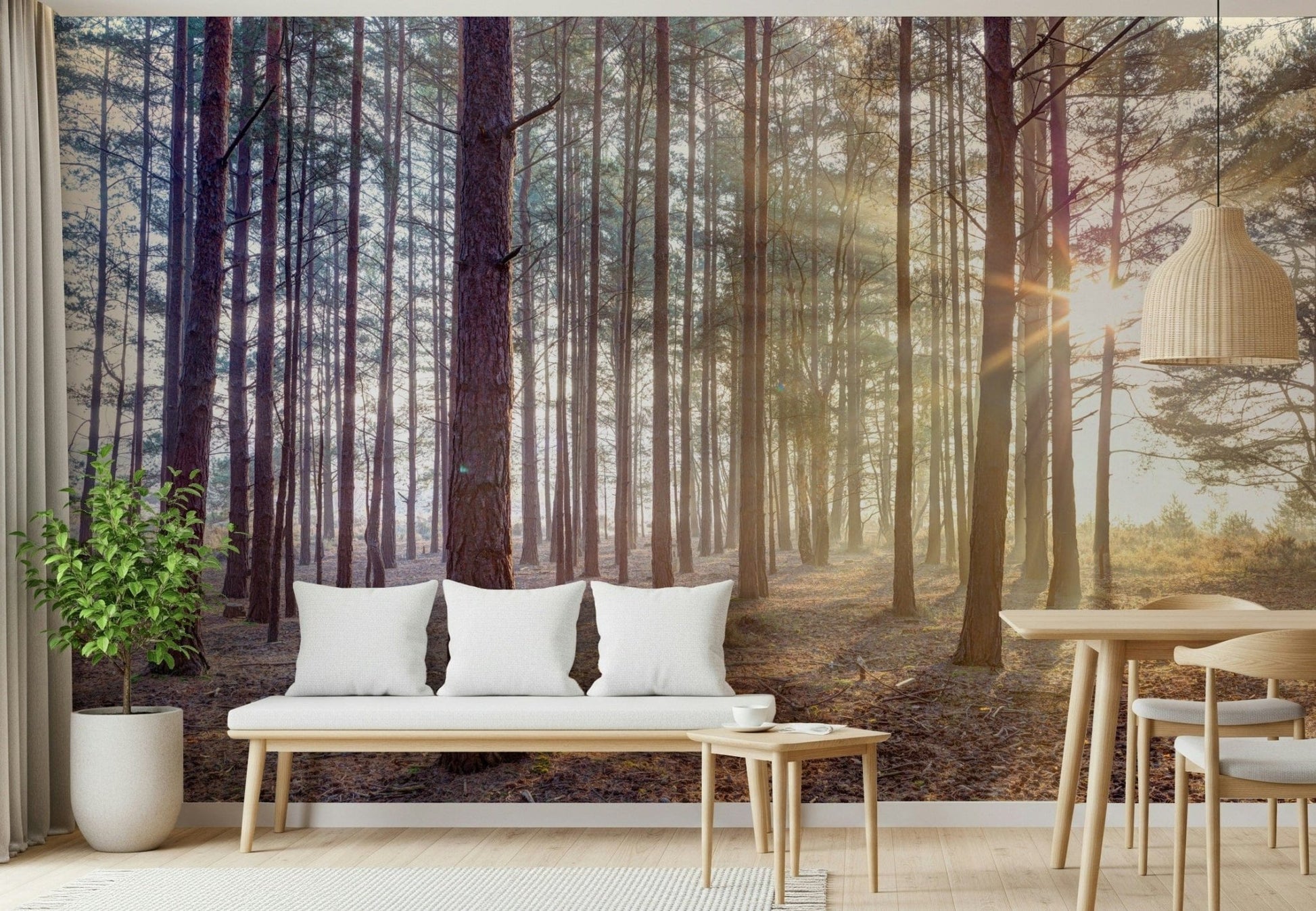 Shrouded in Mystery Wall Mural