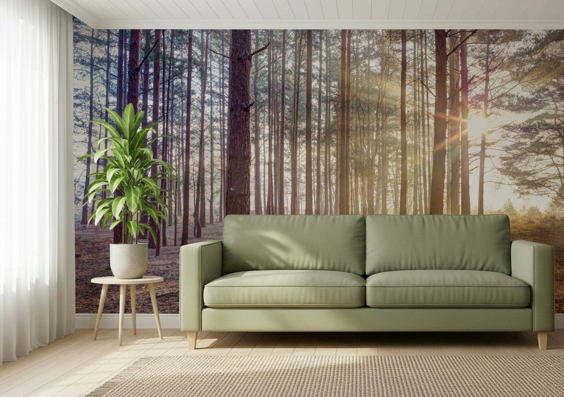 Shrouded in Mystery Wall Mural