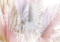 Sophisticated fan palm mural for serene spaces

