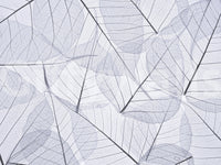 Elegant leaf texture wall mural in white