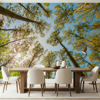 Skyward trees ceiling mural in modern bedroom, green canopy view above bed