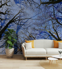 Skyward View: Abstract Tree Canopy Art Print Wall Mural