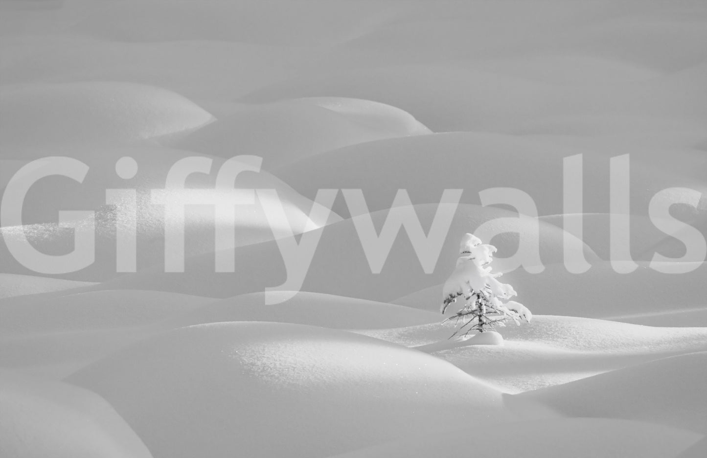 Snowscape Serenity Wall Mural -2178787