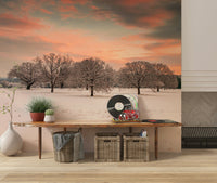 Snow Covered Field wallpaper mural, tranquil winter landscape wall art.