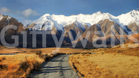 Snowy Peaks Path wallpaper mural shown as a full-wall mural of snowy peaks and a gravel path through golden grass