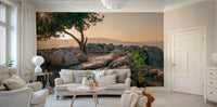 Peaceful solitary tree mural wallpaper with a sunset backdrop.

