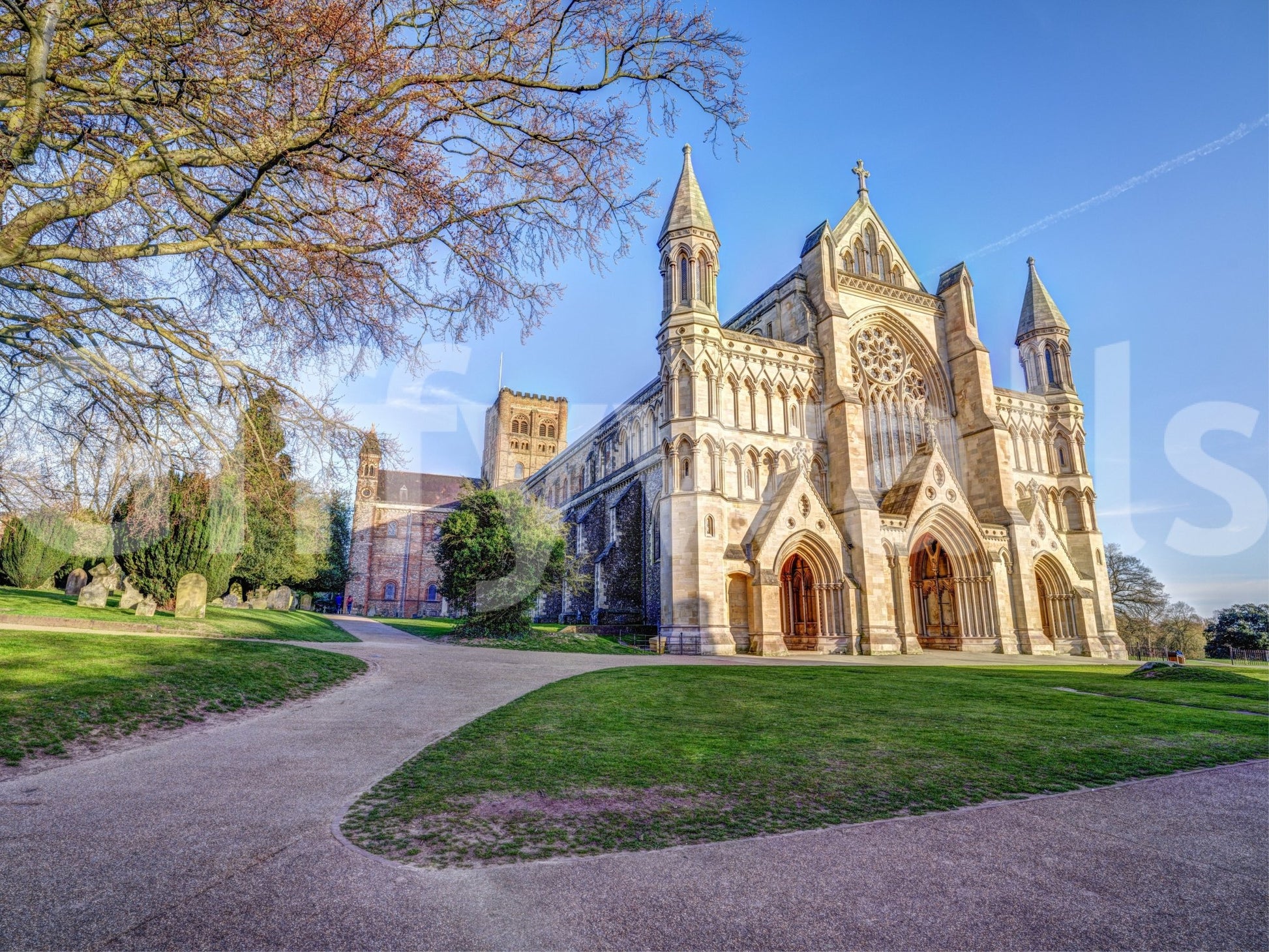 St Albance Cathedral Wall Mural
