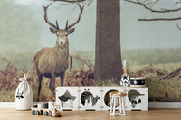 The design has a beautiful, elegant look.

