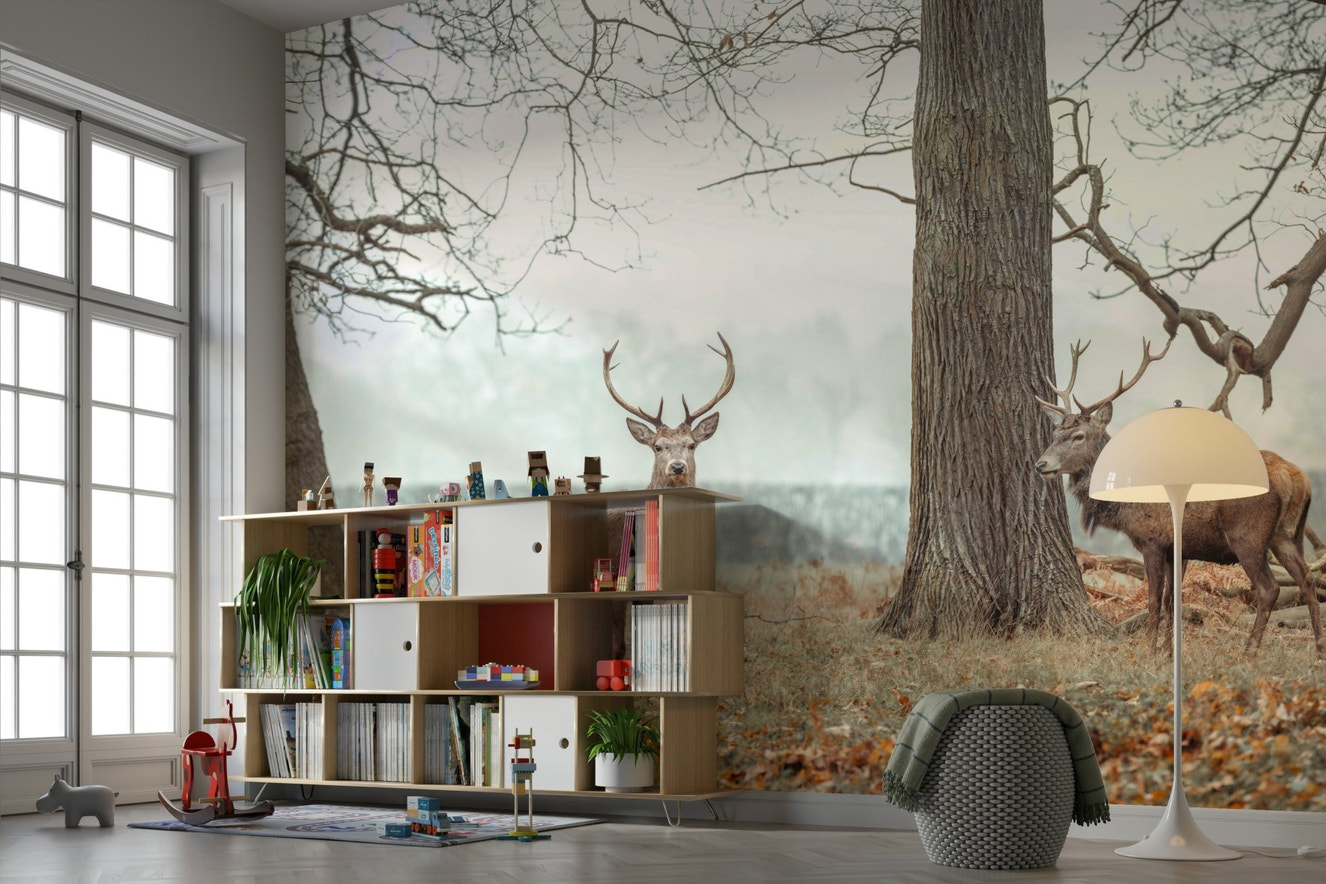 Stags in misty forest mural wallpaper

