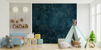 Zodiac constellation map mural with stars and constellations.

