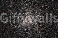 The design is non-realistic and interpretive.

