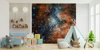 Starlight Vista Wall Mural showcasing a shimmering milky way in a primary bedroom.