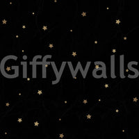 Stars on black sky mural bringing celestial charm indoors

