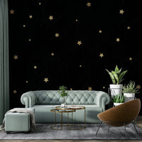 Starry night mural bringing a cosmic atmosphere to your space

