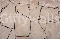 Stone Cladding Texture Wall Mural -2306806