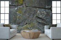 Cracked stone wall mural adding depth, texture, and natural character to living rooms or offices.