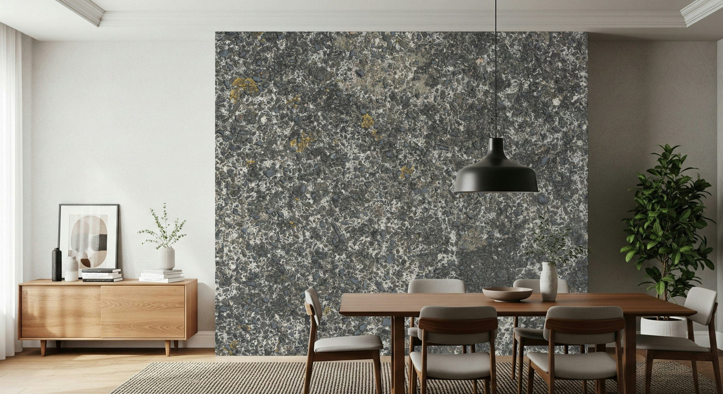 Speckled Stone Texture Wall Mural -2566598