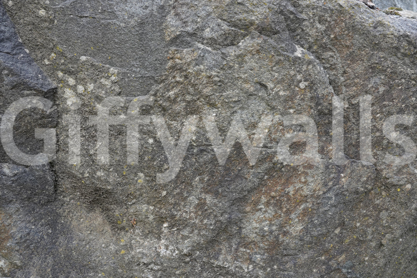 Stone Wall Texture Wall Mural -2566605