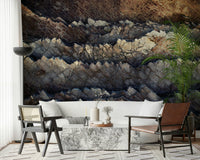 interiors