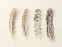 Soothing and inviting wall art.

